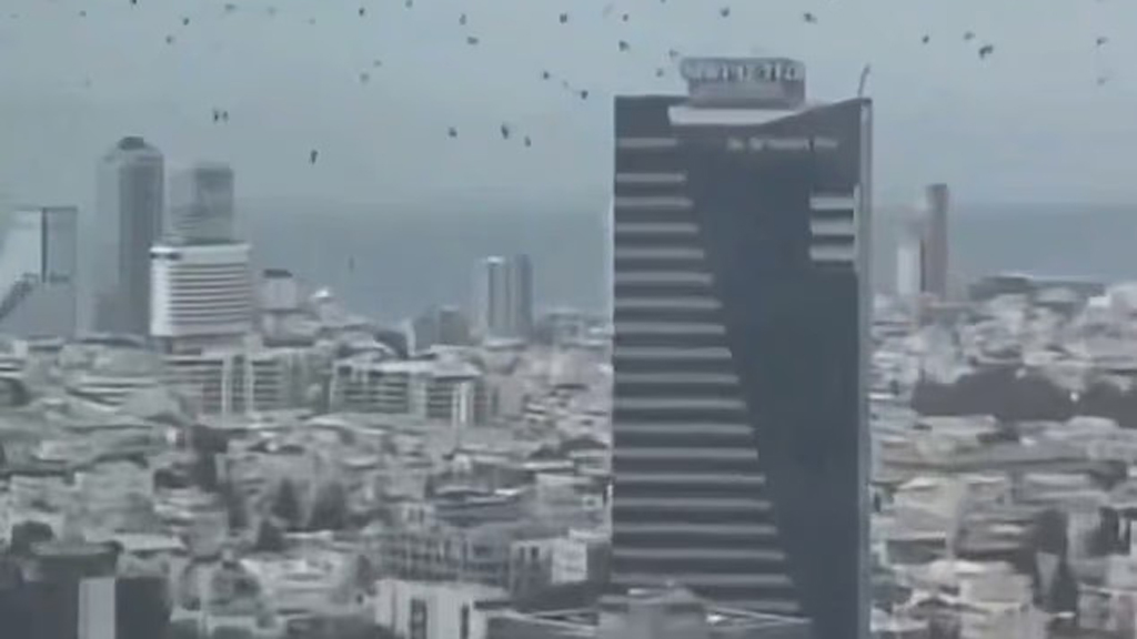 তেল আবিবের আকাশে হাজারো কাক, বাইবেলে বলা ‘সর্বনাশের বার্তা’ এসেই গেল?